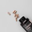 Obrázek Čaga sibiřská FORTE - 60 veganských kapslí (600mg/kapsle) - Herbatica
